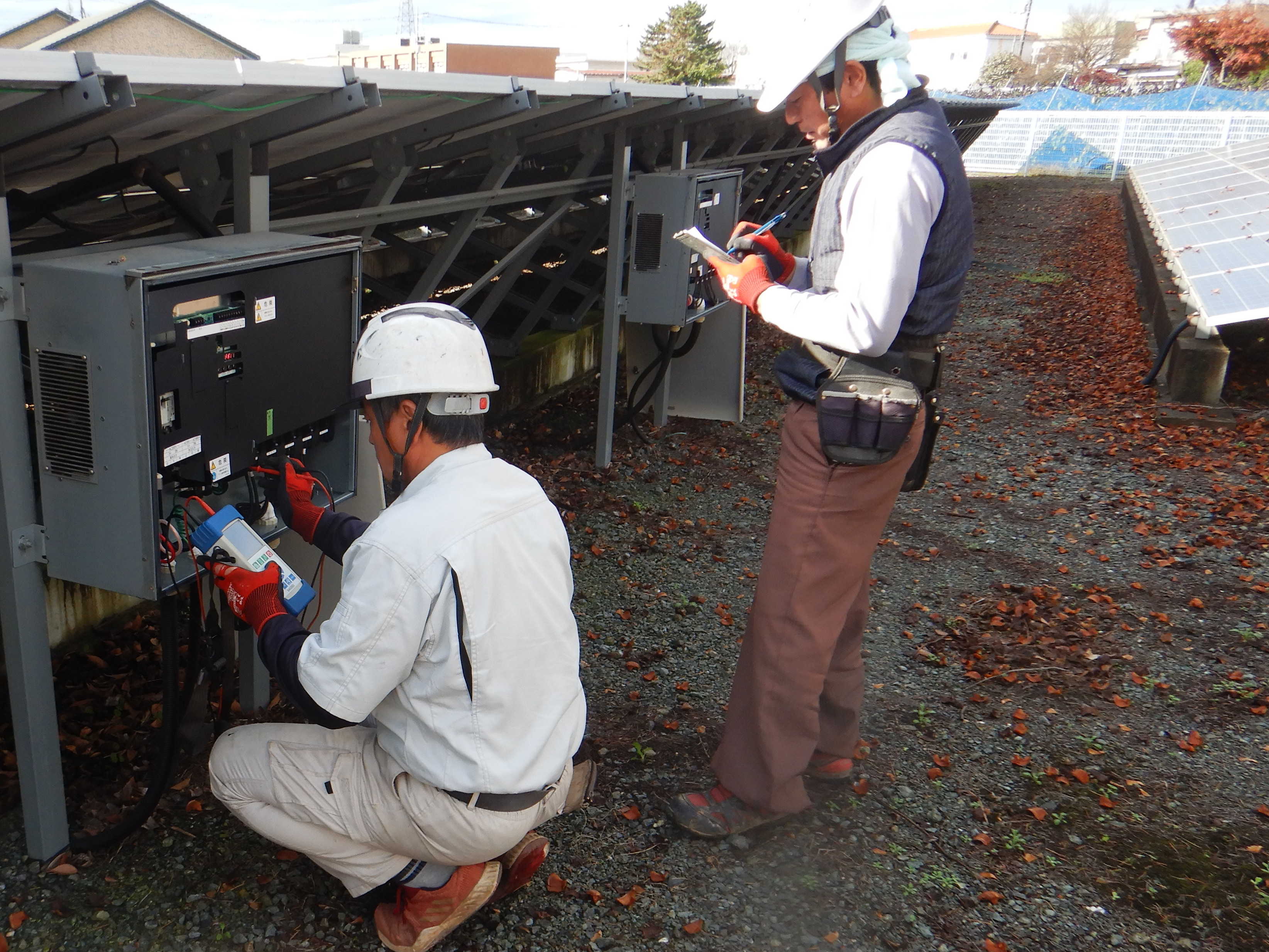 ȯ�Ž����������