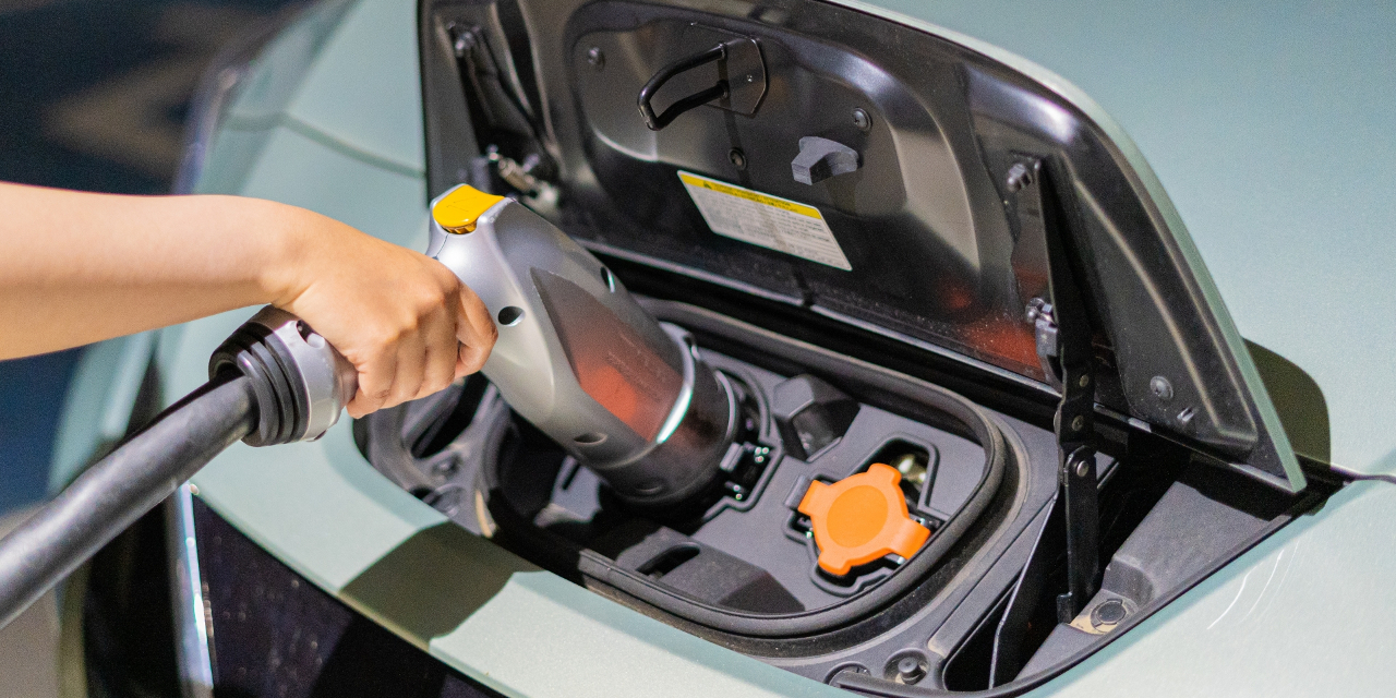 �ŵ���ư�֤����Ż���������Ÿ��Ȥ��Ƴ���